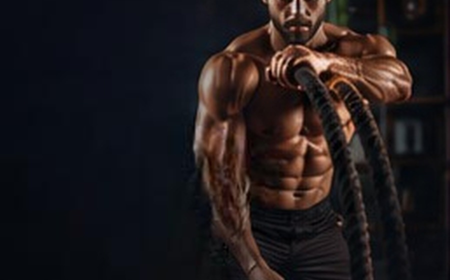 Elite Body Transformation